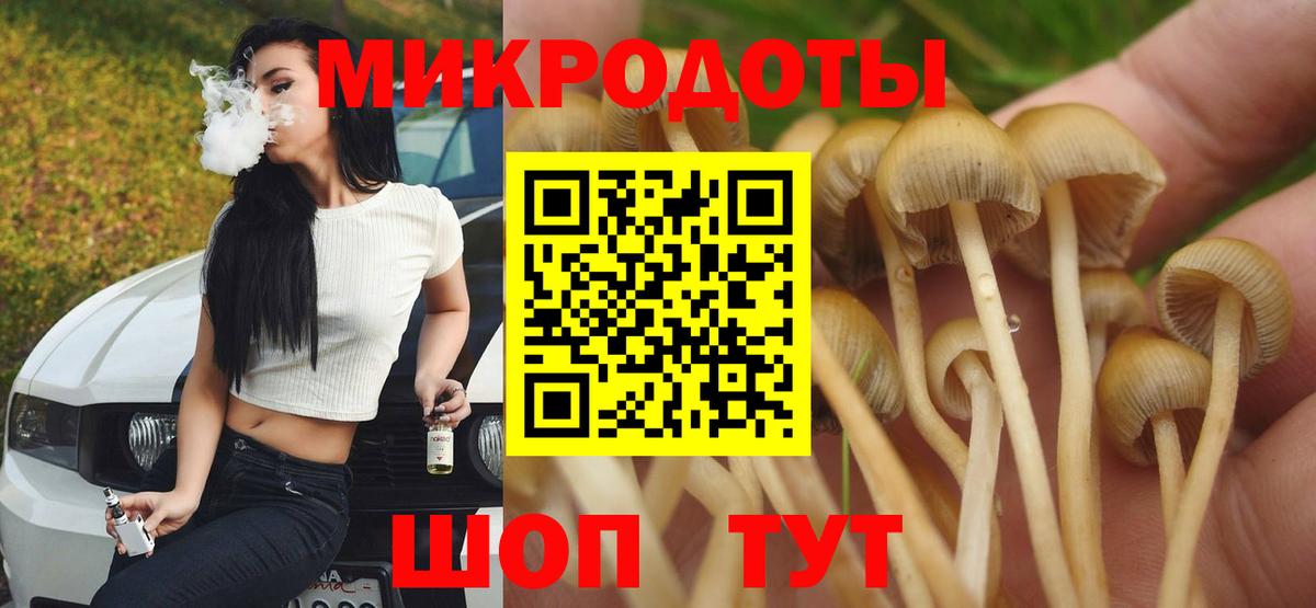 Галлюциногенные грибы Psilocybe Сибай
